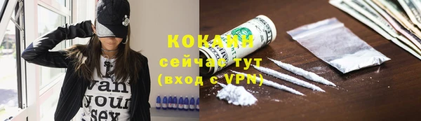 ешки Алзамай