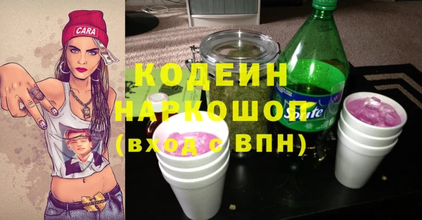 гашик Гусь-Хрустальный